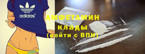 шишки Корсаков