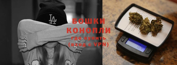 шишки Корсаков