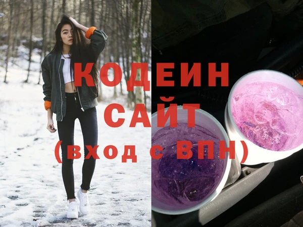 шишки Корсаков