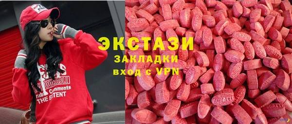 шишки Корсаков