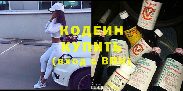 шишки Корсаков