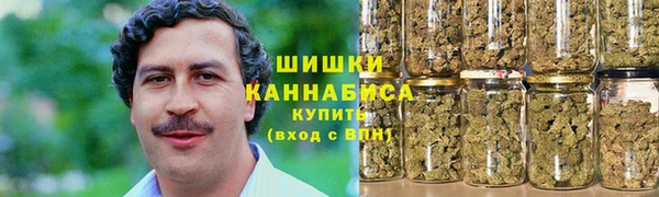 шишки Корсаков