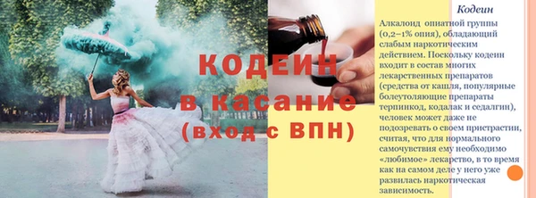 шишки Корсаков
