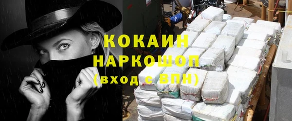 шишки Корсаков