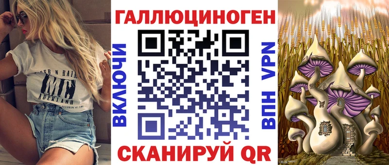 Псилоцибиновые грибы Psilocybine cubensis  Энгельс 