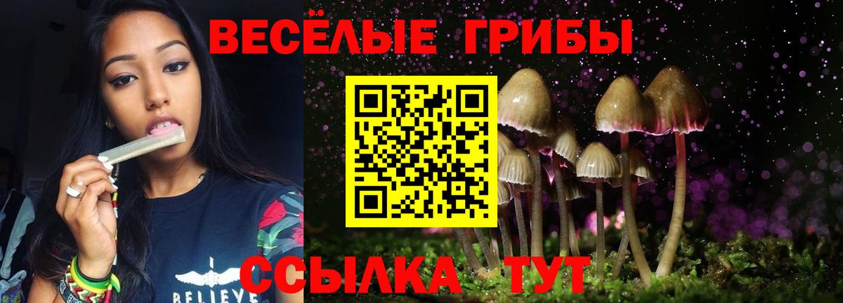 Псилоцибиновые грибы прущие грибы Энгельс
