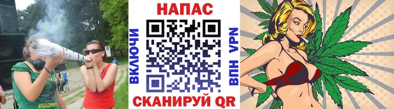 Каннабис планчик  Энгельс 